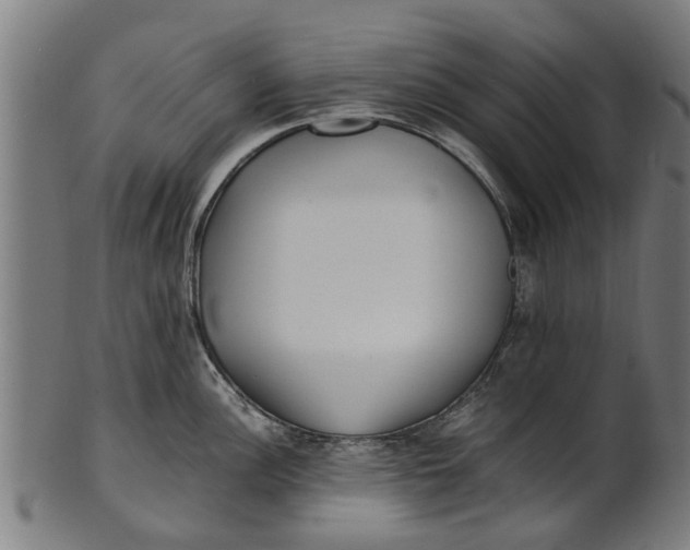 X0000100861148200807111247