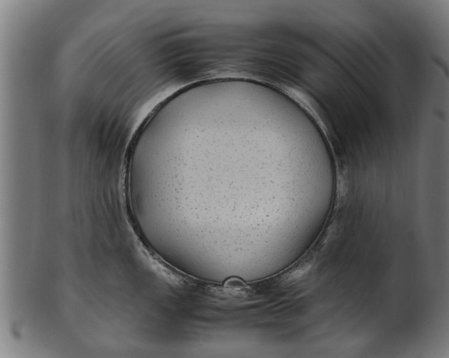 X0000100861149200807111247