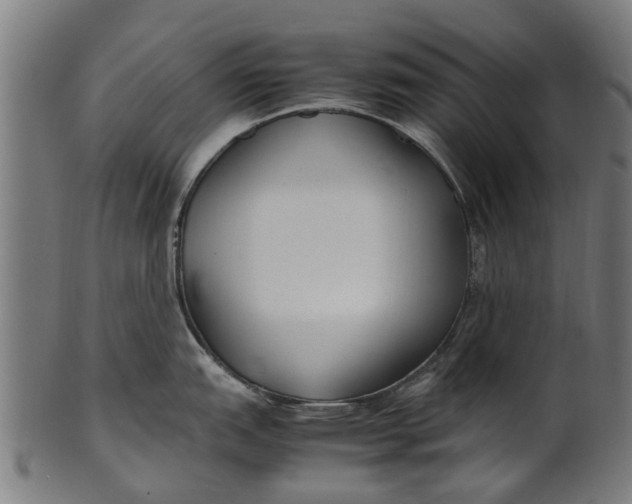 X0000100861151200807111247