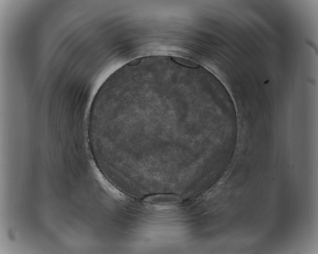 X0000100861152200807111247