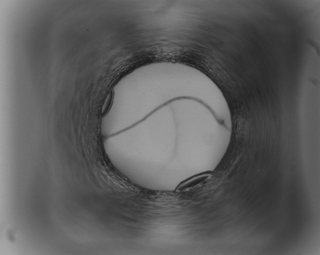 X0000100861153200807111246