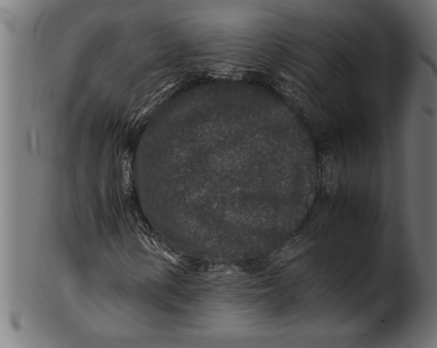 X0000100861154200807111246