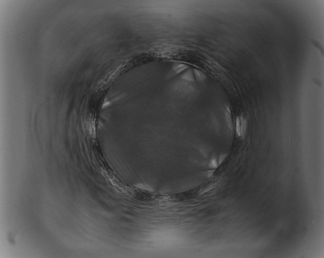 X0000100861155200807111246