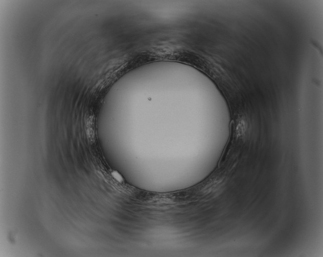 X0000100861156200807111246