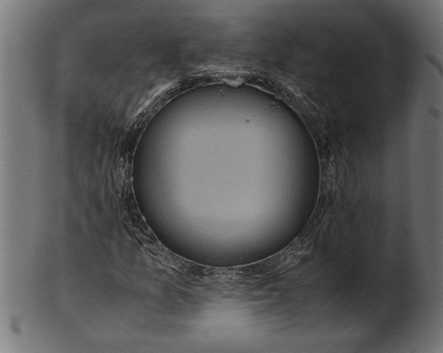 X0000100861157200807111246