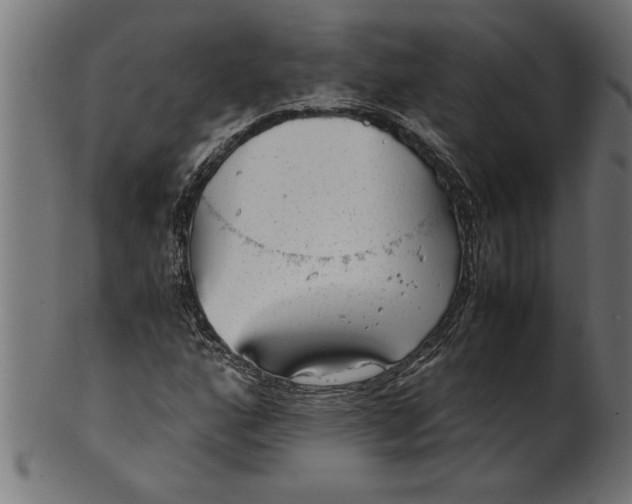 X0000100861160200807111246