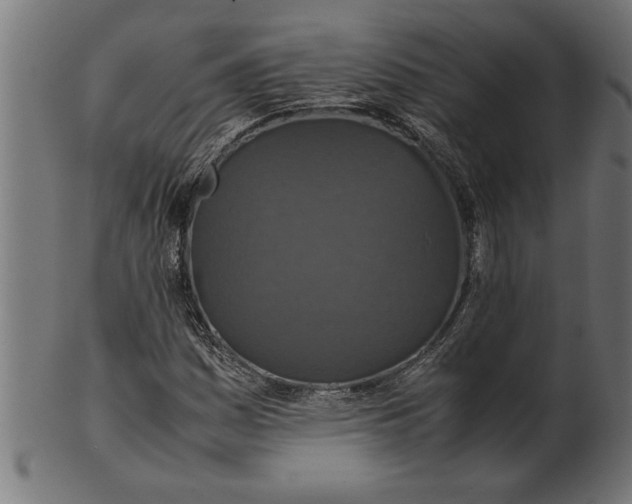 X0000100861161200807111246