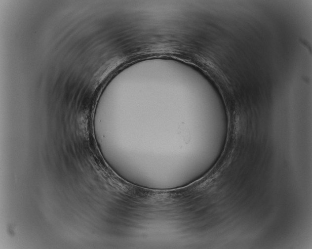 X0000100861162200807111246