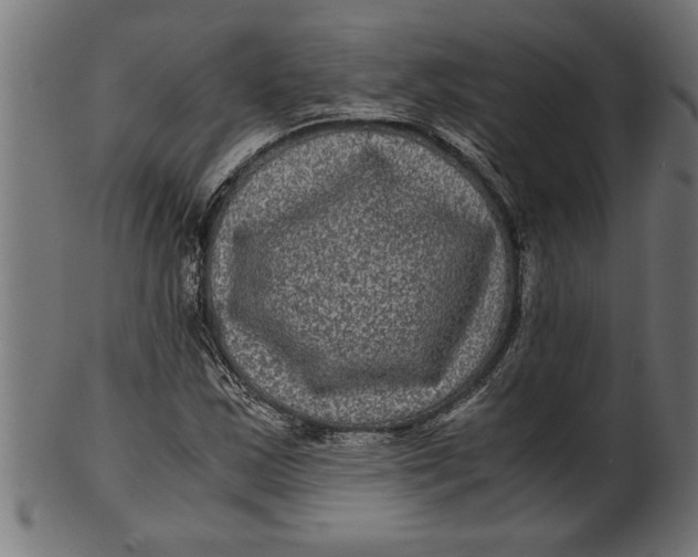 X0000100861163200807111246