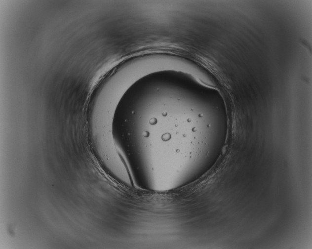 X0000100861164200807111246