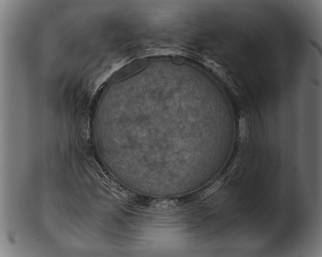 X0000100861165200807111246