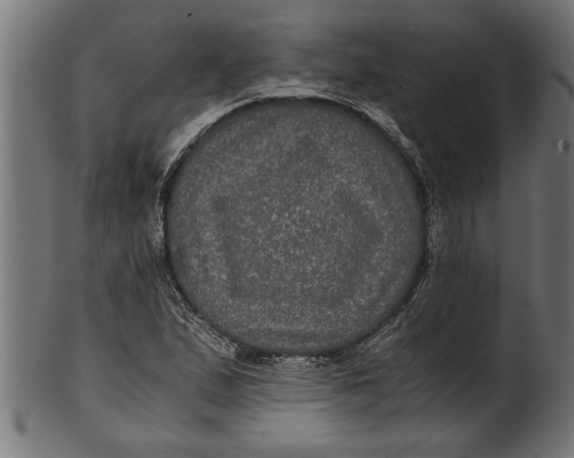 X0000100861167200807111246