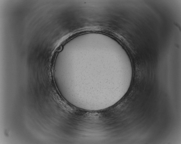 X0000100861168200807111246