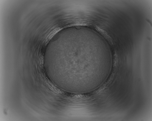 X0000100861169200807111246