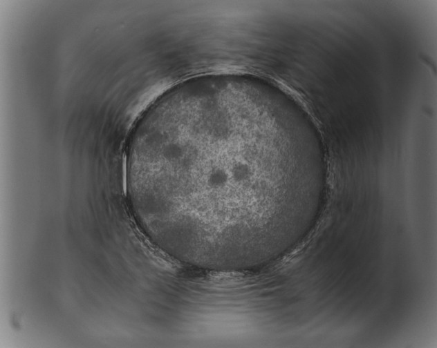 X0000100861171200807111246