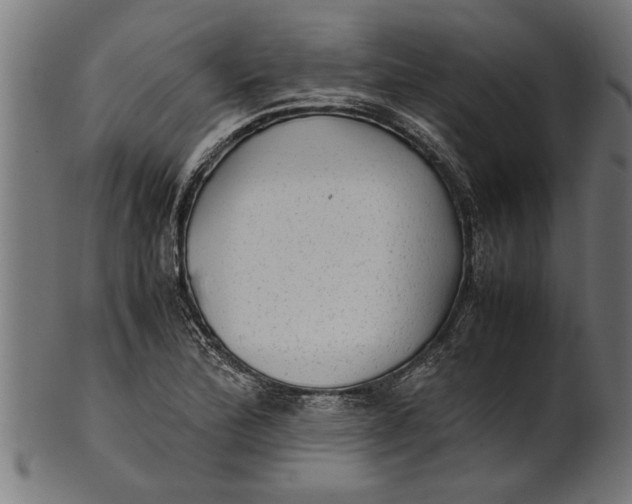 X0000100861172200807111246