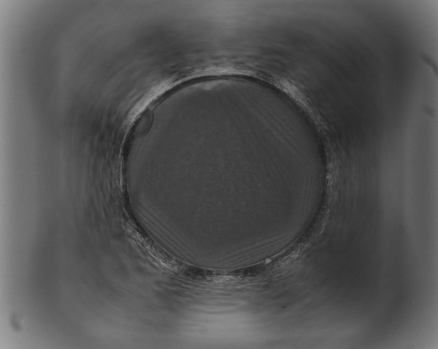 X0000100861173200807111246