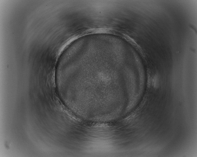 X0000100861174200807111246