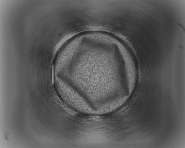 X0000100861175200807111246