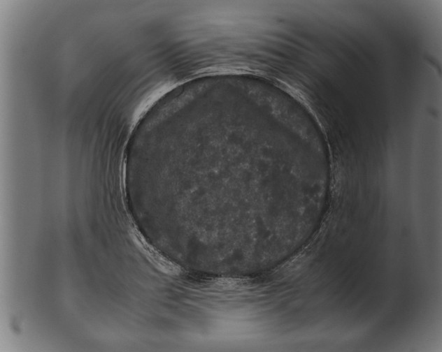 X0000100861179200807111245