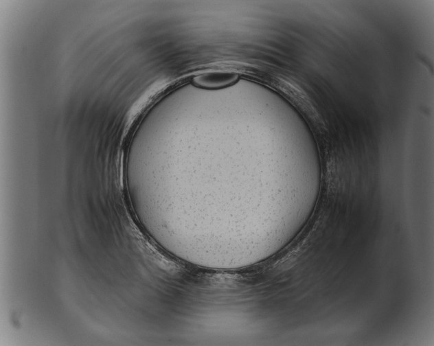 X0000100861180200807111245