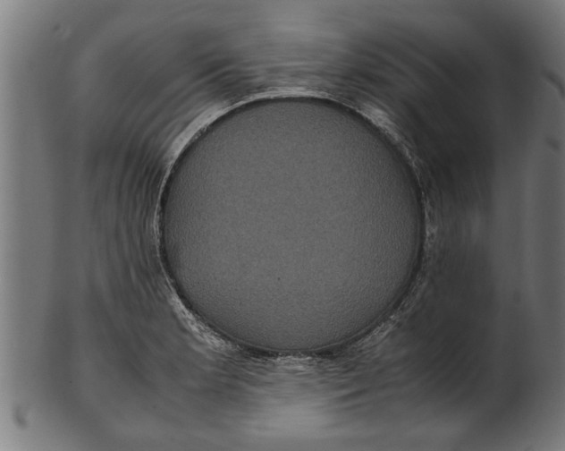 X0000100861181200807111245