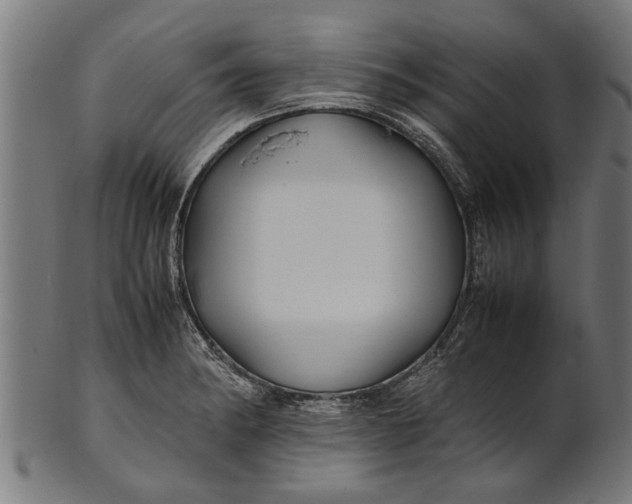 X0000100861182200807111245