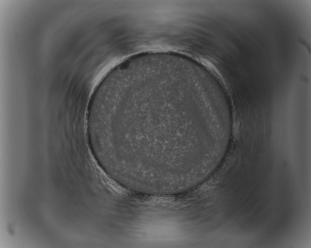 X0000100861183200807111245