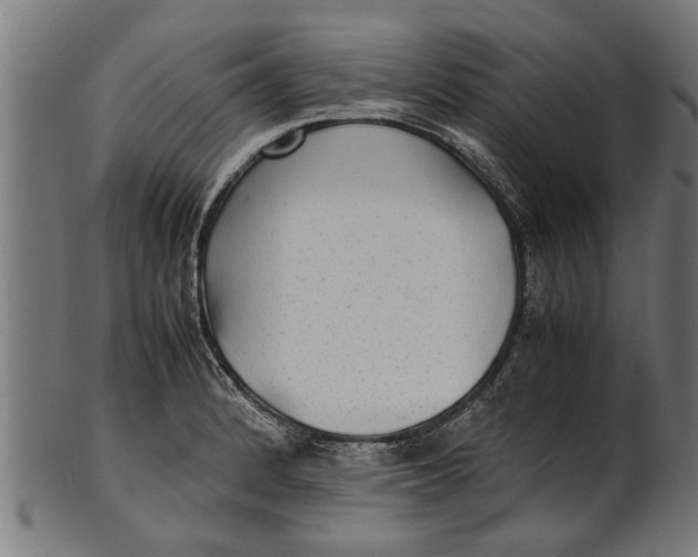 X0000100861184200807111245