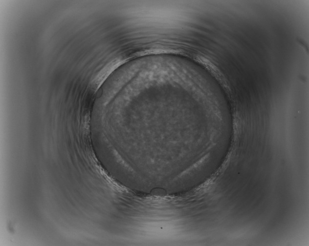 X0000100861185200807111245