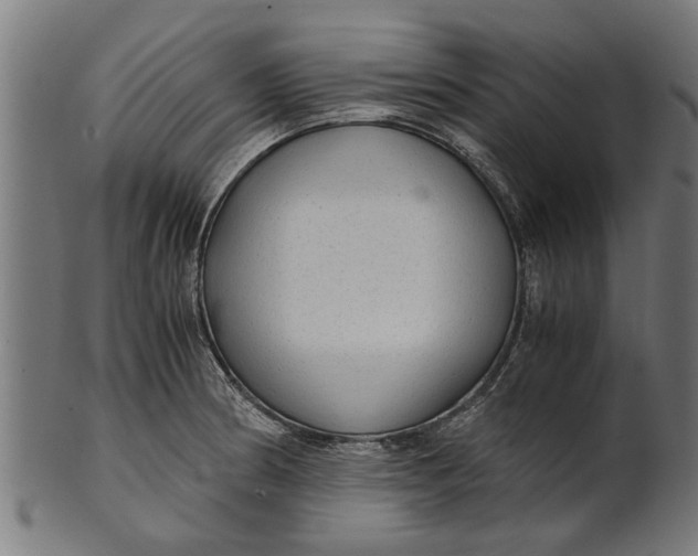 X0000100861186200807111245