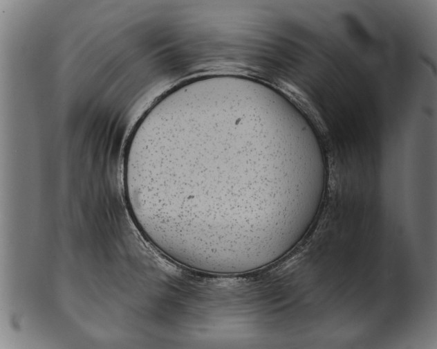 X0000100861188200807111245