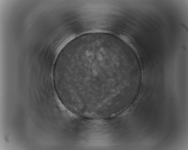 X0000100861189200807111245