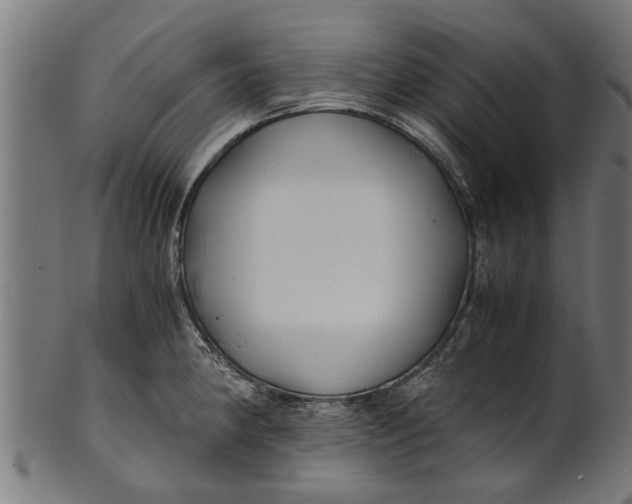 X0000100861190200807111245