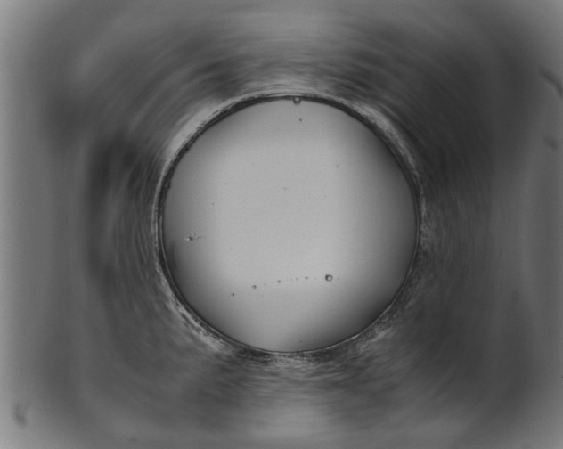 X0000100861191200807111245