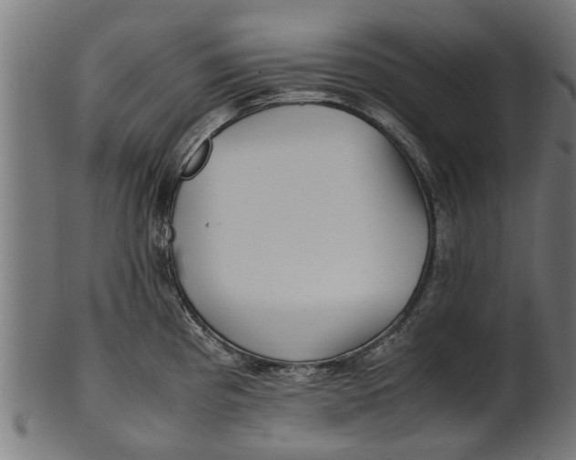 X0000100861193200807111245