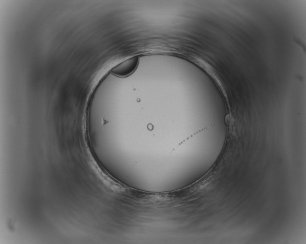 X0000100861195200807111245