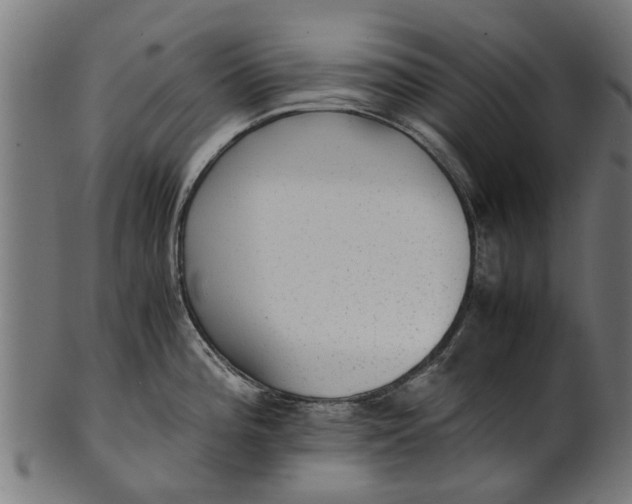 X0000100861196200807111245