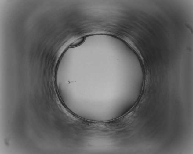 X0000100861197200807111245