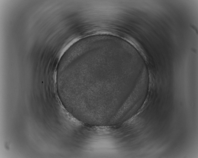 X0000100861198200807111245