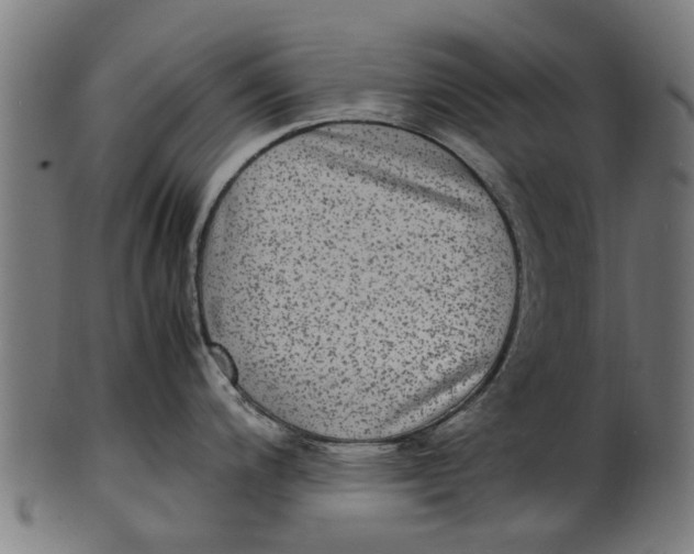 X0000100861200200807111245