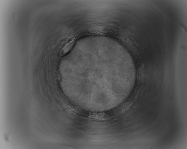 X0000100861201200807111244