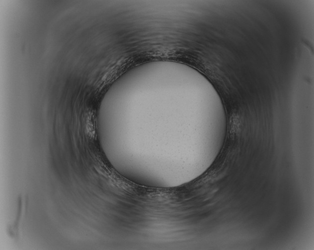 X0000100861202200807111244