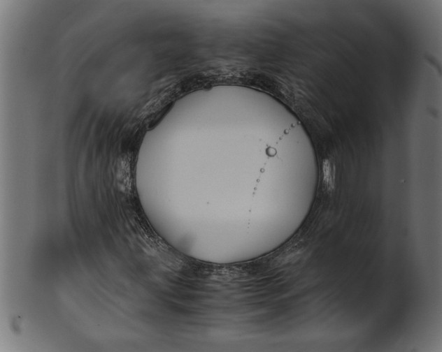 X0000100861203200807111245