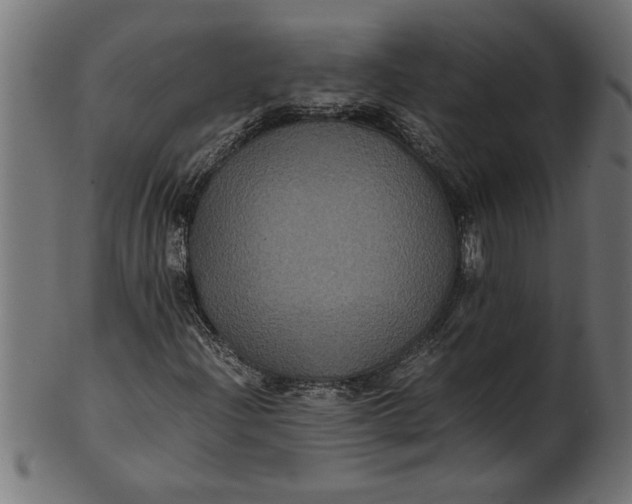 X0000100861204200807111245