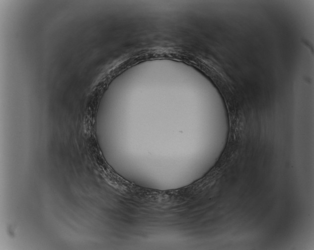 X0000100861207200807111245