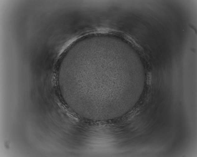 X0000100861208200807111245