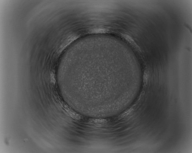 X0000100861209200807111245