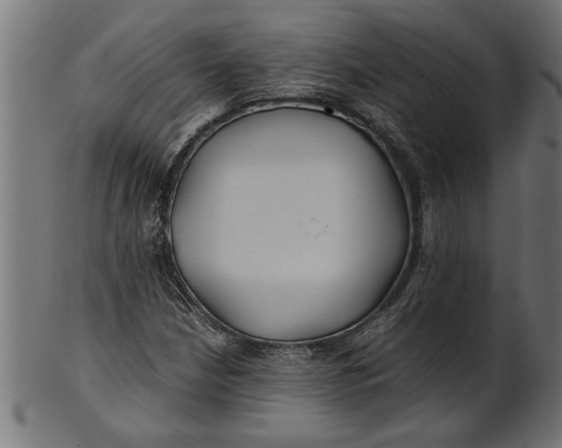 X0000100861210200807111245