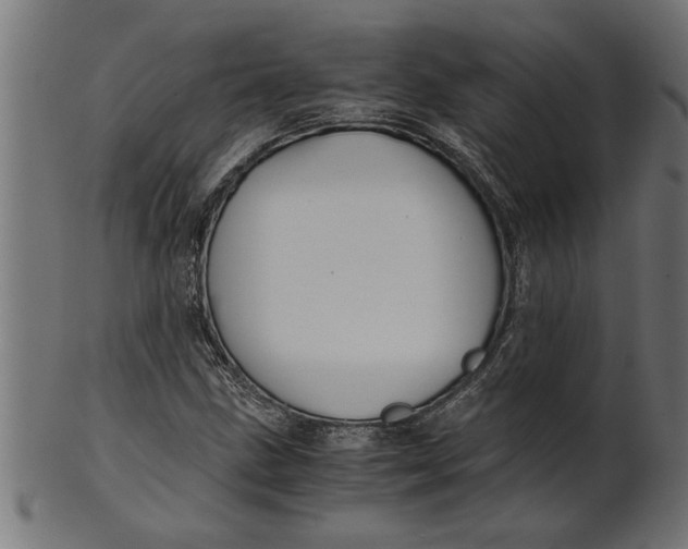 X0000100861211200807111245